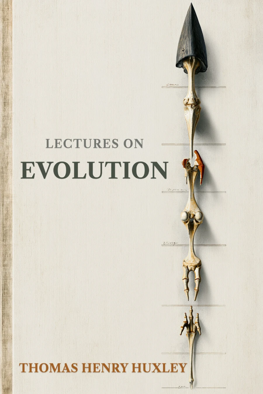 Lectures on Evolution
