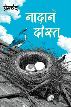 नादान दोस्त