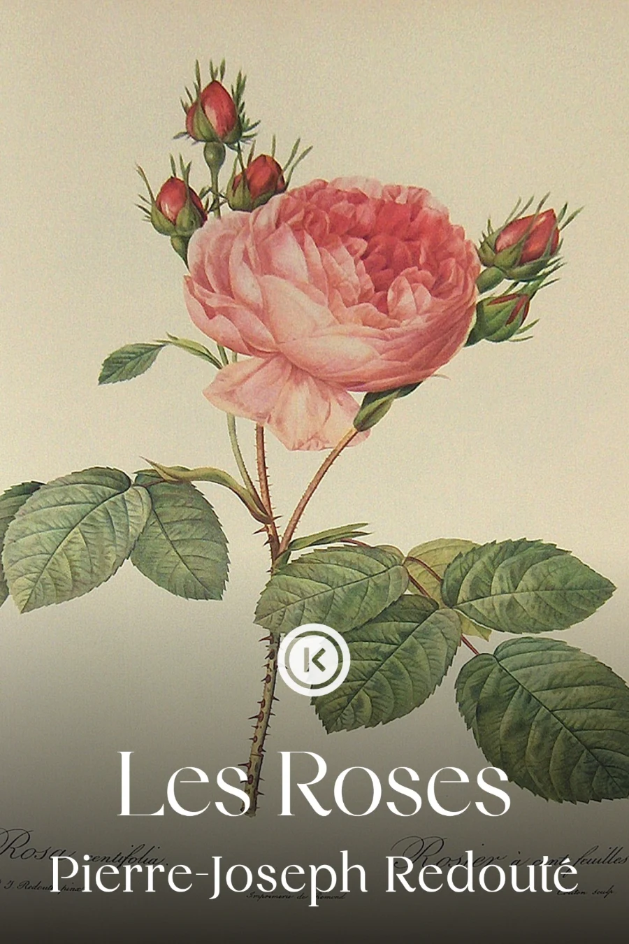 Les Roses